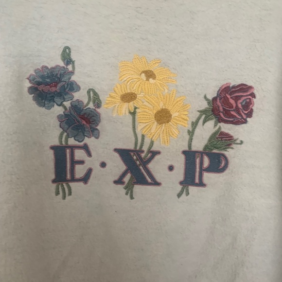 💐 3/$30 Express Vintage Crop Sweatshirt - Picture 2 of 2
